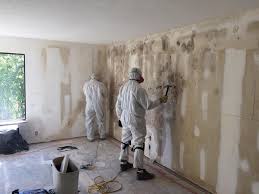 Mold Remediation for Vacation Homes in Diamond, IL